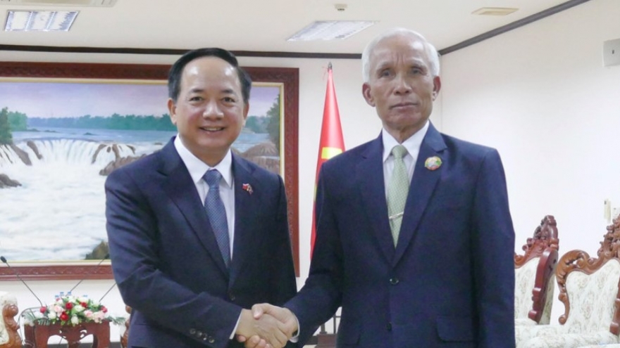 Vietnam, Laos bolster cooperation in communications on special ties